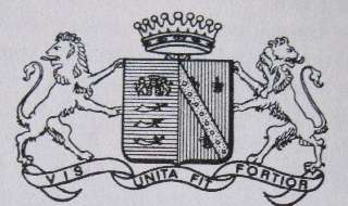 Collezionare la nobiltà